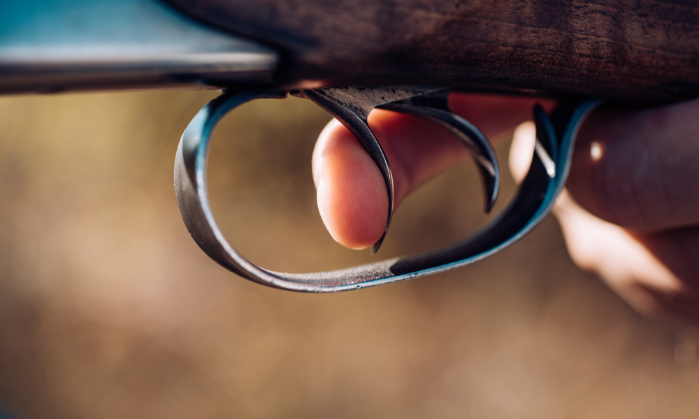 Category D firearm reforms in NSW fencing news